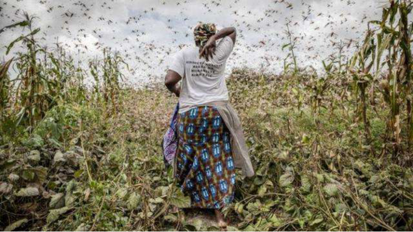 1587086482438690.png 44.png