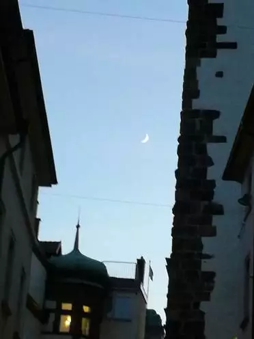 1587183822942723.png 33.png