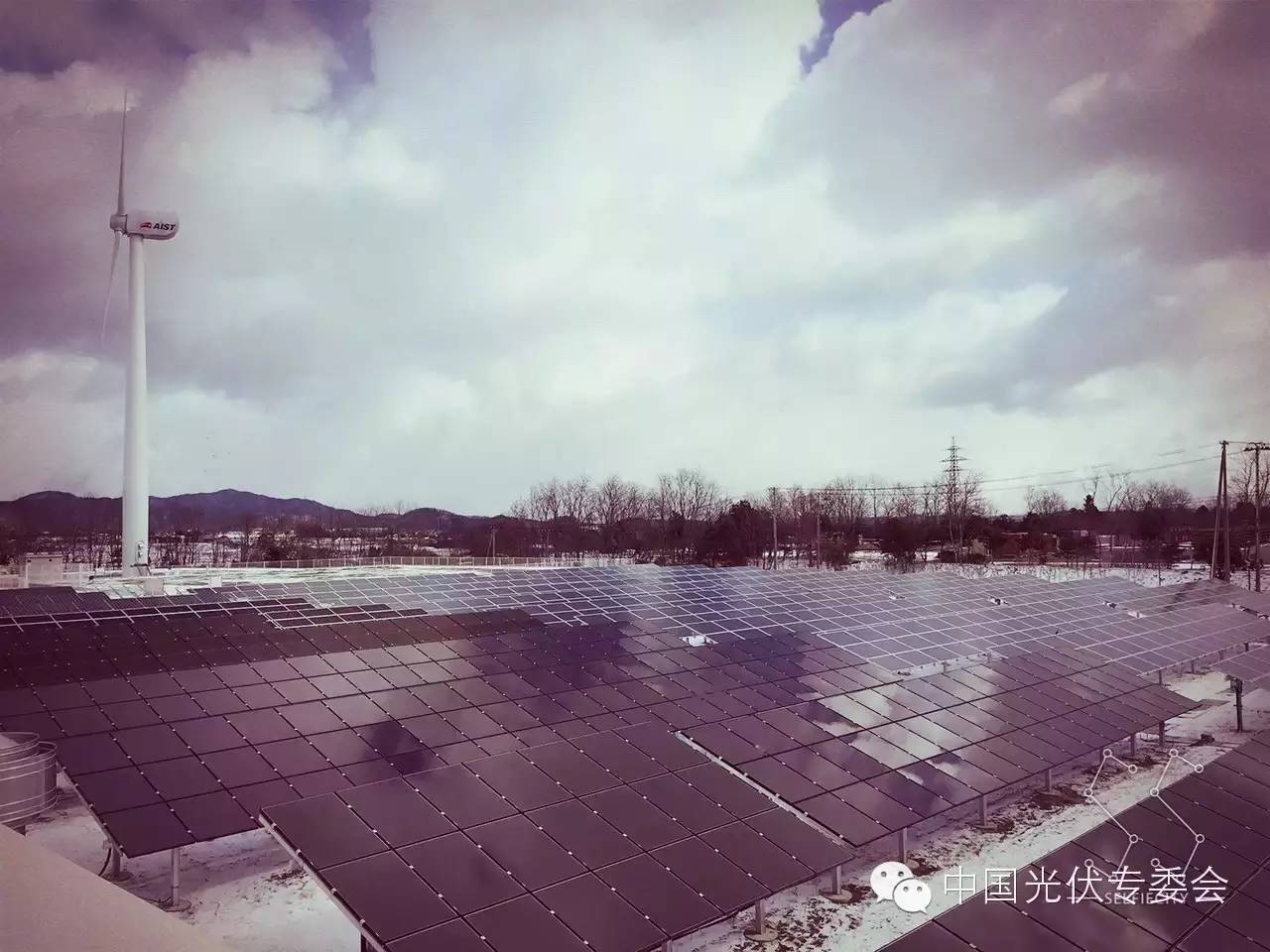 1587203916256690.jpg 15.jpg