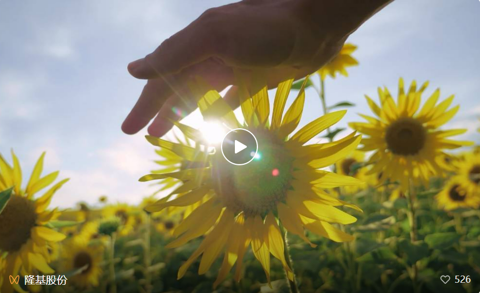 1655866524308259.png 3c0727d8b5180c72b02536e9bcccb41.png