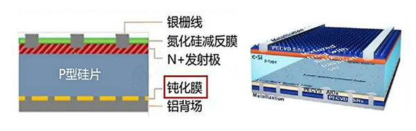 1670304230469185.jpg 1.jpg