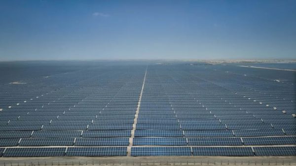 1689325362868772.jpg 640 (3).jpg