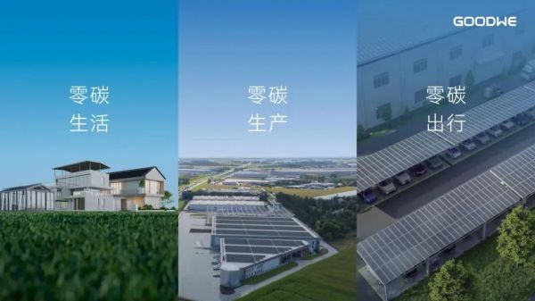 1690512553715730.jpg 640 (1).jpg