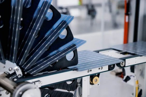 1699155833328759.jpg 640.jpg