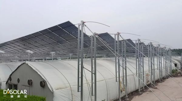 1704260065324660.jpg 640 (2).jpg