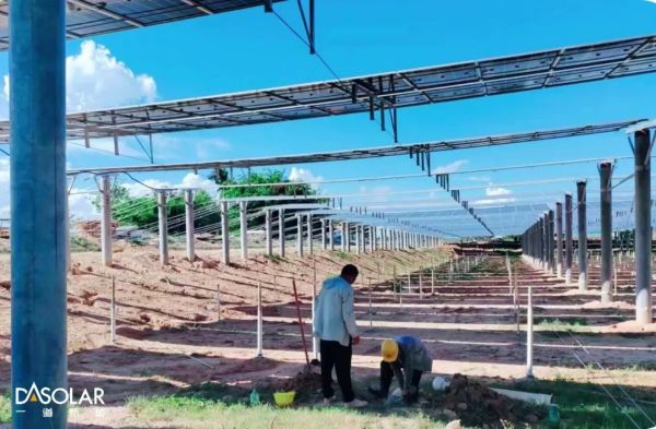 1704260076785458.jpg 640 (3).jpg