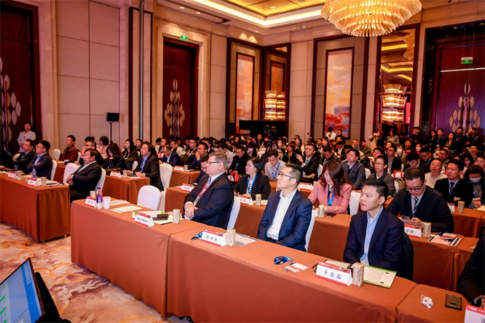 1711978660249665.jpg 11.jpg