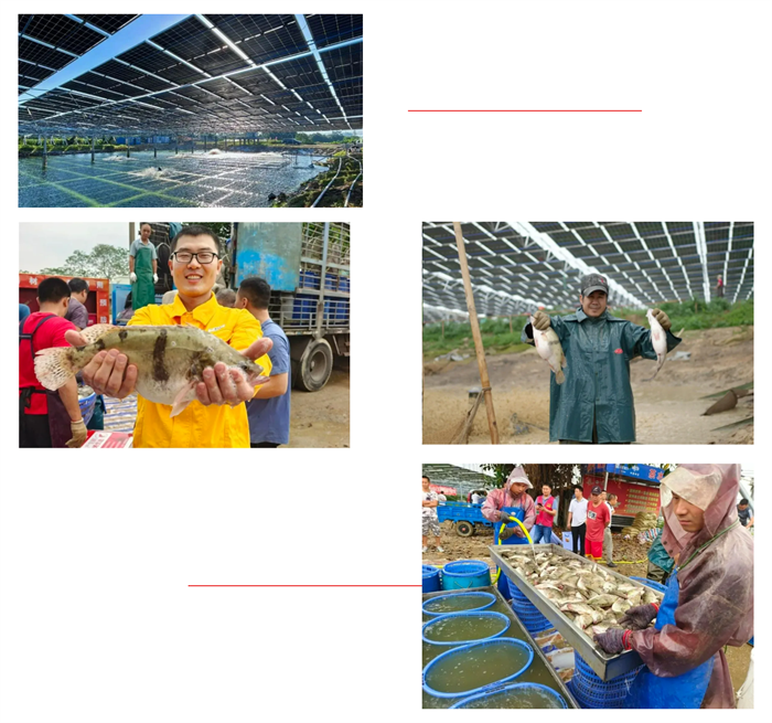 1712549185494897.png 微信圖片_20240408120442.png