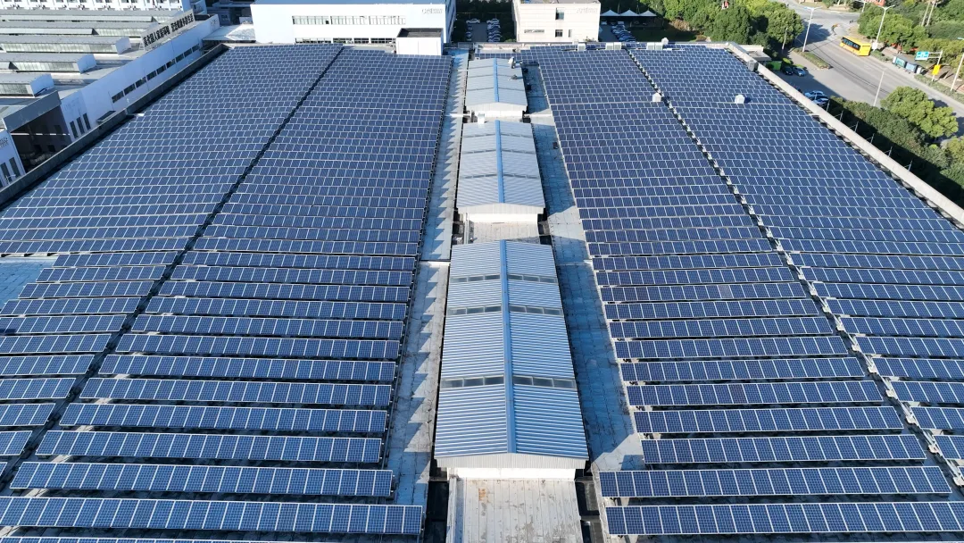 1730705514111396.png 640 (2).png