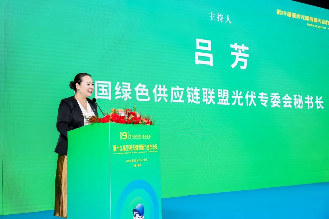 1734052274992991.jpg 1734052274992991.jpg