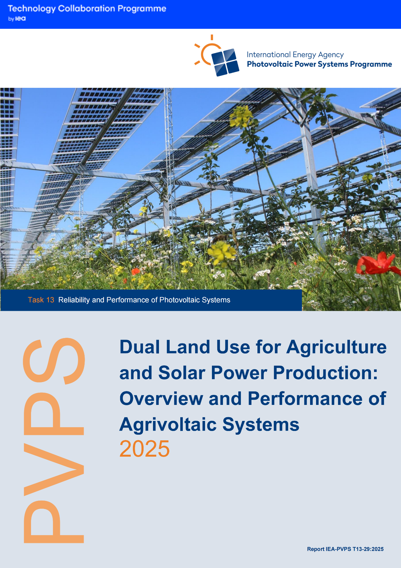 1747299298812210.png 1747299298812210.png