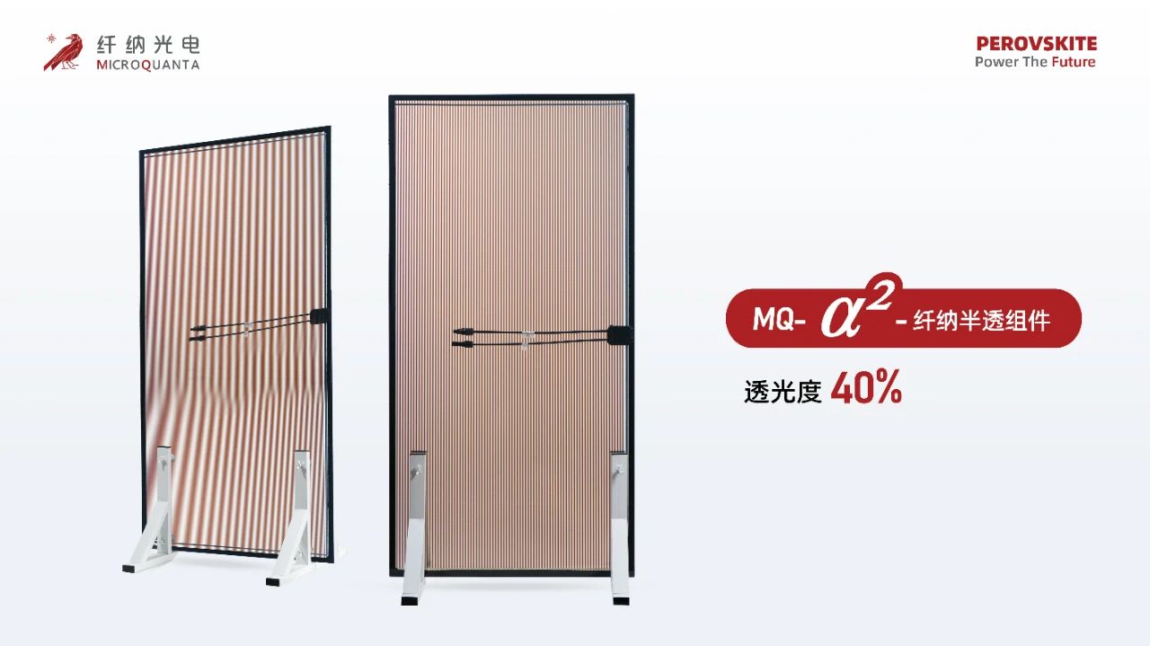 1749607405249999.jpg 1749607405249999.jpg