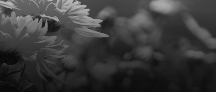 1750641700668098.png 1750641700668098.png